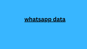 whatsapp data 